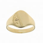 9ct Yellow Gold Signet  Ring