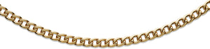 Gold Plated Steel Curb Neck Chain - 20"